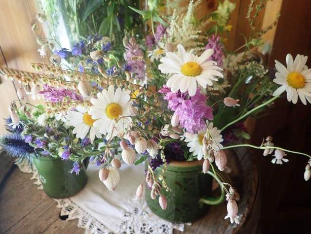 Fleurs du Jardin Alpin Chalet Hôtel Hermitage Chamonix